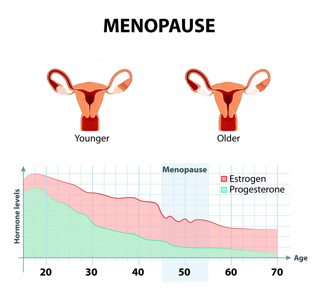 Could Blocking A Reproductive Hormone In Menopausal Women Result In 